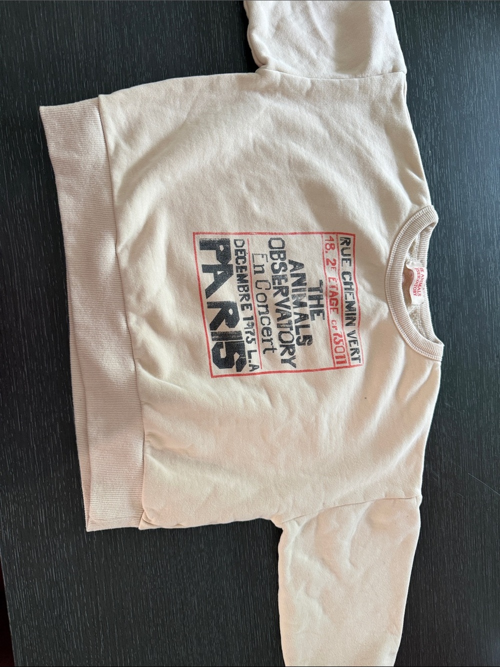 THE ANIMALS OBSERVATORY
Big Bear Sweatshirt Pink Concert Poster